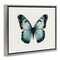 Stupell Industries Teal Symmetrical Butterfly Framed Floater Canvas Wall Art Design by Elizabeth Medley
